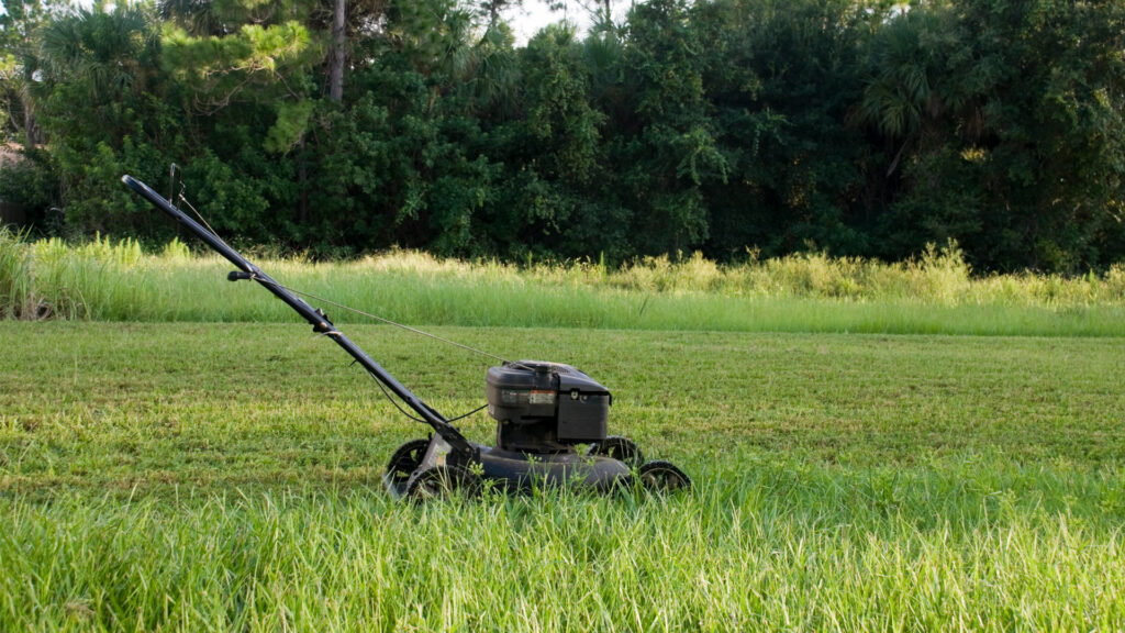 A lawn mower (iStock image)