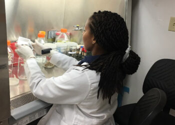 A four-year, $1 million grant will establish South Florida’s first-of-its-kind FAU Microbiome Innovation Center. (FAU Image)