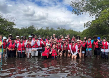 MODS’ Everglades EcoExplorers (Courtesy of the Museum of Discovery and Science)