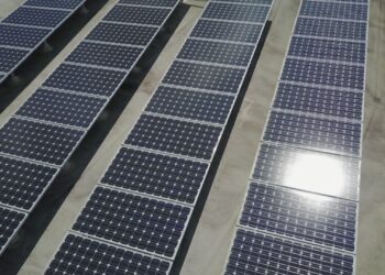 The University of Central Florida supports and uses solar energy to produce electricity for many buildings across campus. (Michael Rathbun/U.S. Department of Energy, Public domain, via Wikimedia Commons)
