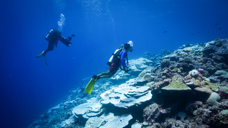 Sam Purkis, professor of marine geosciences at the Rosenstiel School, collects sediment samples from coral reefs across the world during one stop on a Global Reef Expedition. Purkis and senior lecturer Alex Humphreys are now working with students to examine the samples and to investigate how forams can be an indicator of coral reef health. (Photo: Sam Purkis/University of Miami)