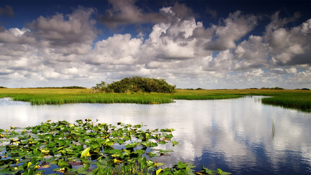 Big Cypress National Preserve (iStock image)