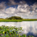 Big Cypress National Preserve (iStock image)