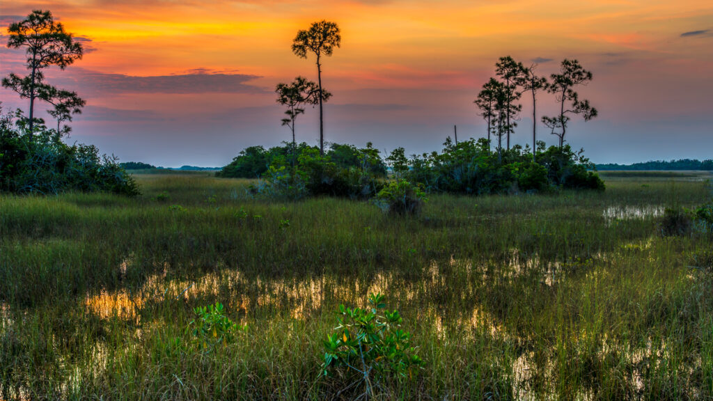 A sunrise at Everglades National Park (iStock image)