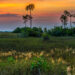 A sunrise at Everglades National Park (iStock image)