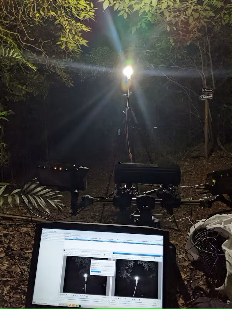Scientists used high-speed stereo motion capture to document how the presence of artificial light at night affects insects’ flight behavior. (Samuel Fabian, CC BY-ND)