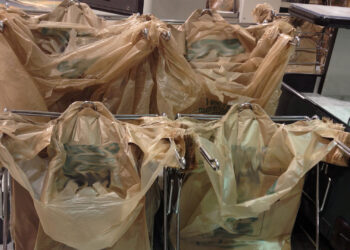 Plastic bags at a grocery store (iStock image)