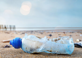 Plastic pollution on a beach (iStock image)
