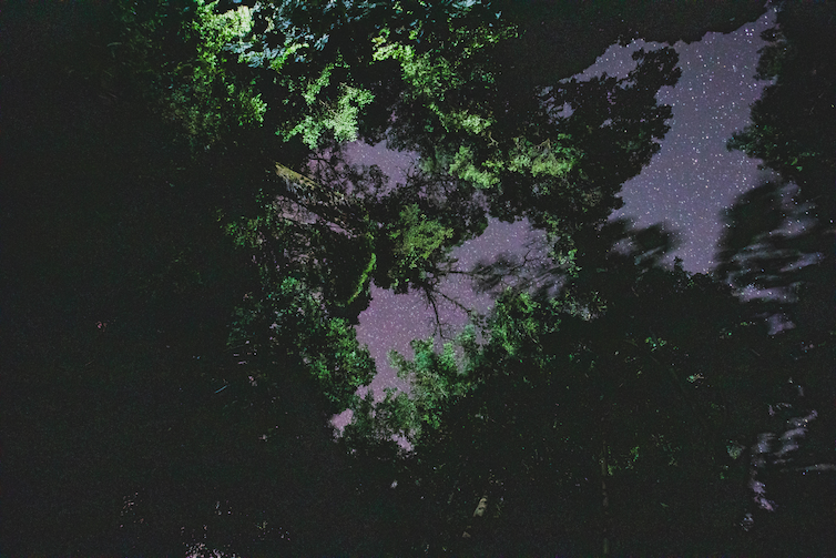 This upward view at the authors’ field research site in Monteverde, Costa Rica, shows how artificial light competes with the night sky. (Samuel Fabian, CC BY-ND)