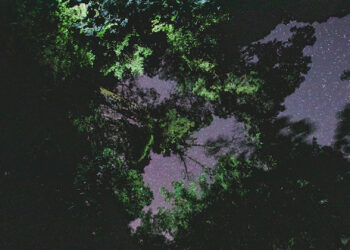 This upward view at the authors’ field research site in Monteverde, Costa Rica, shows how artificial light competes with the night sky. (Samuel Fabian, CC BY-ND)