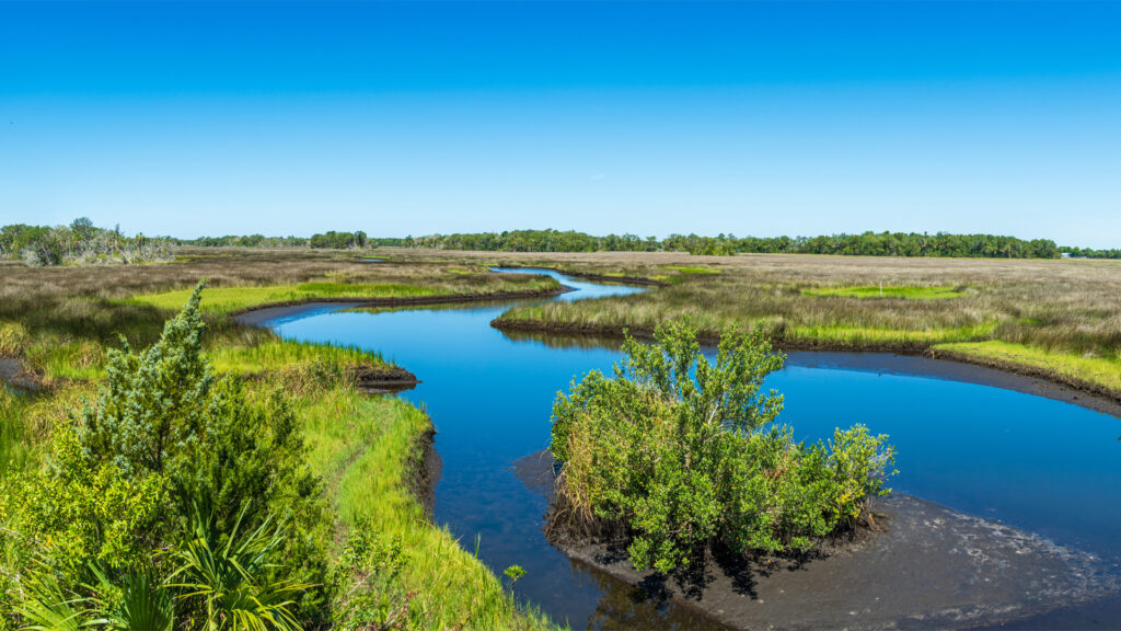 Crystal River National Wildlife Refuge, part of conserved lands in the Florida Wildlife Corridor (iStock image)