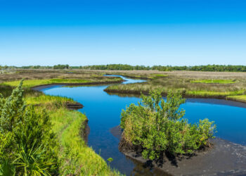 Crystal River National Wildlife Refuge, part of conserved lands in the Florida Wildlife Corridor (iStock image)
