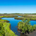 Crystal River National Wildlife Refuge, part of conserved lands in the Florida Wildlife Corridor (iStock image)