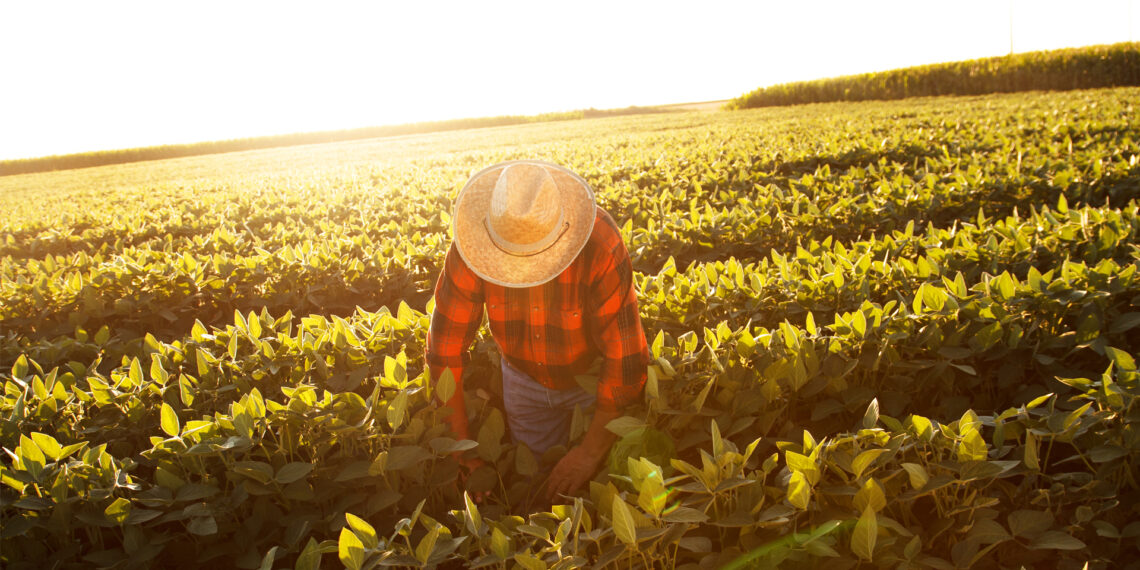 A farmworker works in the sun (iStock image)
