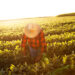 A farmworker works in the sun (iStock image)