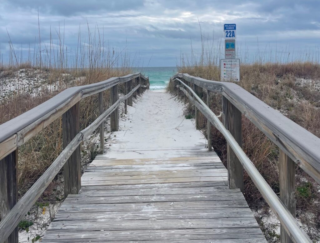 Dune walkovers protect healthy dunes from constant foot traffic. (Carrie Stevenson, UF/IFAS Extension)