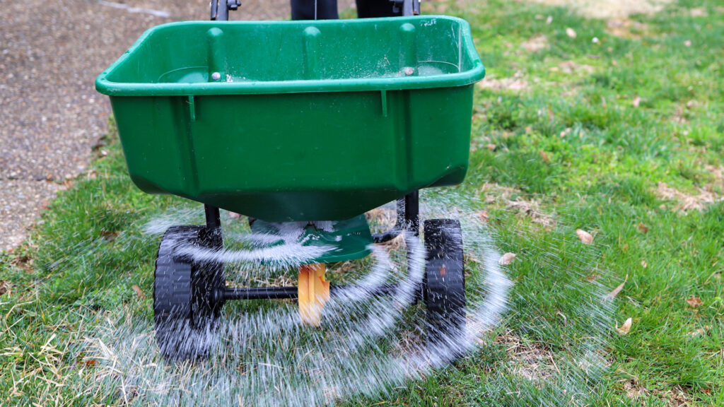 Seed and fertilizer are spread on a lawn. (iStock image)