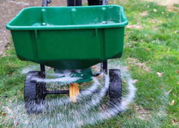 Seed and fertilizer are spread on a lawn. (iStock image)