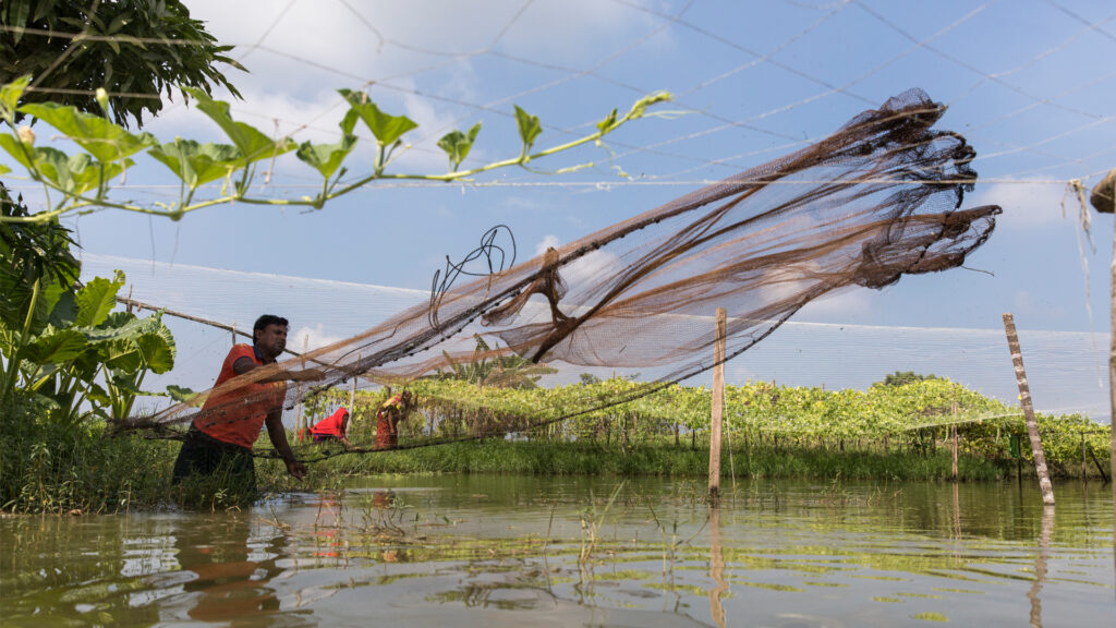 Fakir Altaf Hussain fishing in his pond in Bangladesh. Nitrogen pollution is already impacting fisheries and wider ecosystems in hotspots across the globe and is expected to worsen by 2050. (Image by Habibul Haque/WorldFish via Flickr, CC BY-NC-ND 2.0)