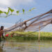 Fakir Altaf Hussain fishing in his pond in Bangladesh. Nitrogen pollution is already impacting fisheries and wider ecosystems in hotspots across the globe and is expected to worsen by 2050. (Image by Habibul Haque/WorldFish via Flickr, CC BY-NC-ND 2.0)
