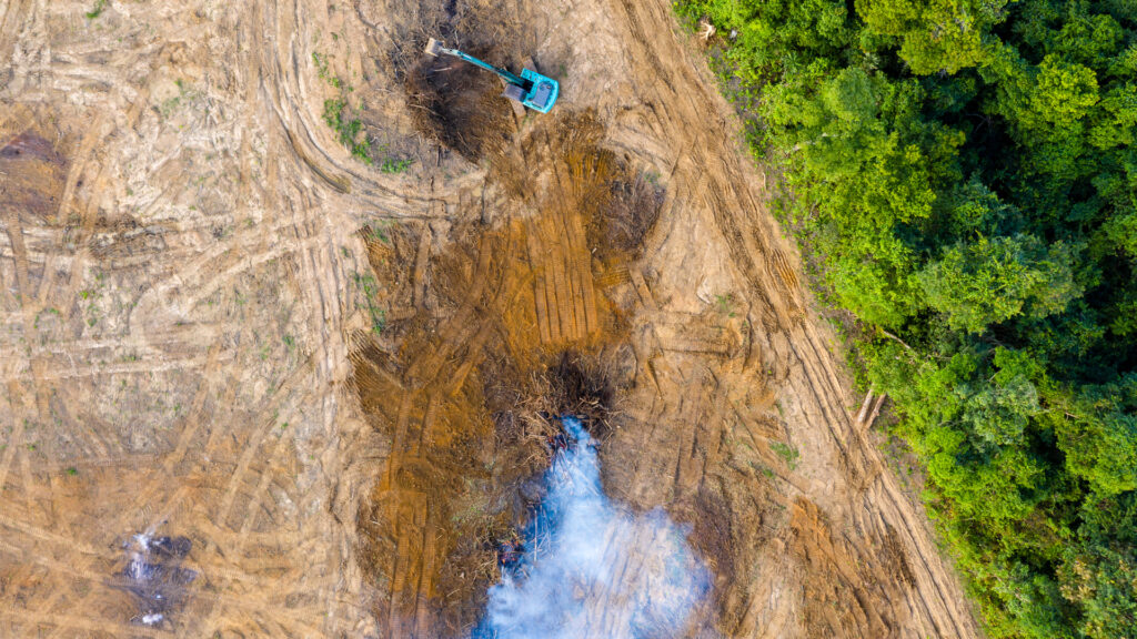 An earth mover removes trees, which are then burnt, in the Amazon (iStock image)
