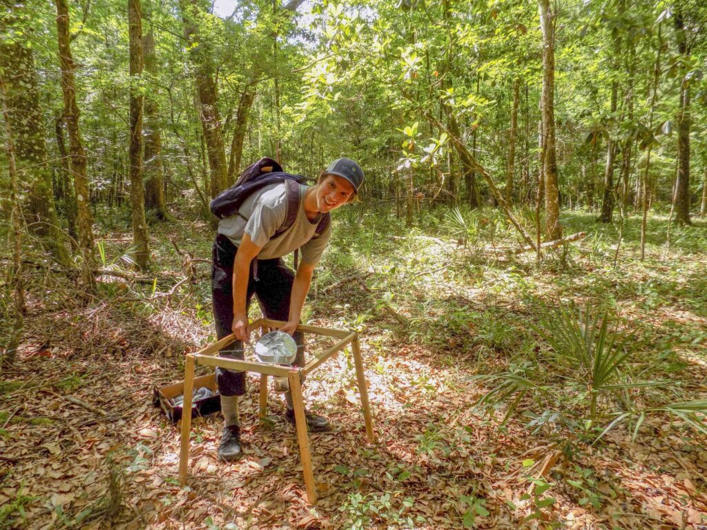 Michael Belitz constructed funnels to collect caterpillar poop, which he elevated on a wooden frame to protect it during floods. (Photo courtesy of Michael Belitz)