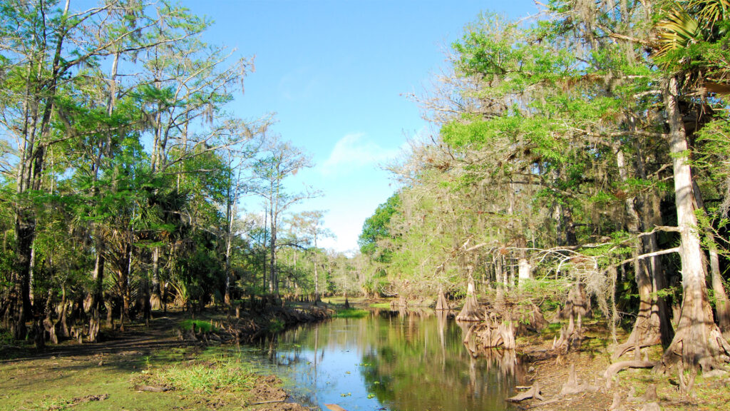 Fisheating Creek (iStock image)