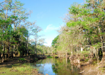 Fisheating Creek (iStock image)