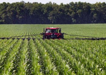 Work being done on a farm. (UF/IFAS photography)