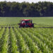 Work being done on a farm. (UF/IFAS photography)