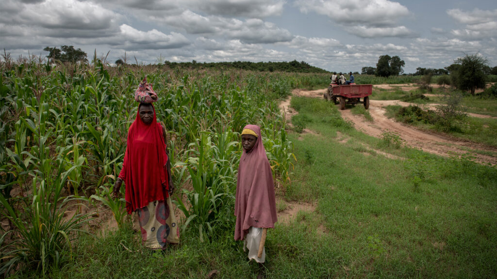 Farmworkers in a corn field in Nigeria (CGIAR System Organization via Flickr, CC BY-NC-SA 2.0)