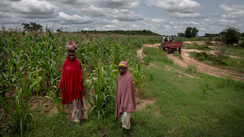 Farmworkers in a corn field in Nigeria (CGIAR System Organization via Flickr, CC BY-NC-SA 2.0)
