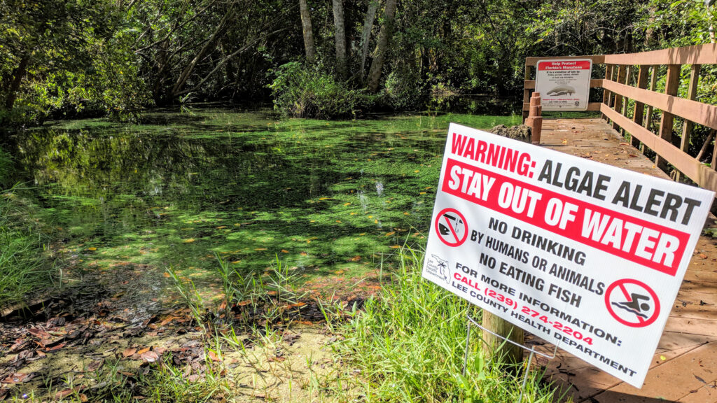 An algae alert sign posted by the Lee County Health Department on the Orange River (Submitted image)