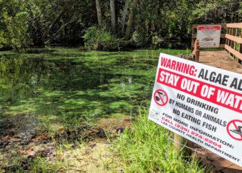 An algae alert sign posted by the Lee County Health Department on the Orange River (Submitted image)