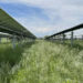 Solar panels shade grassland at Jack’s Solar Garden, an agrovoltaic farm in Longmont, Colo. (Matthew Sturchio, CC BY-ND)