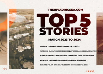 Top 5 stories video screenshot (FAU CES)