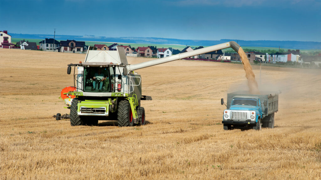 A combine harvests wheat and loads it into a dump truck in Ukraine (iStock image)