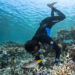 A former fisherman plants coral in Indonesia. (Credit: Martin Colognoli/Ocean Image Bank)