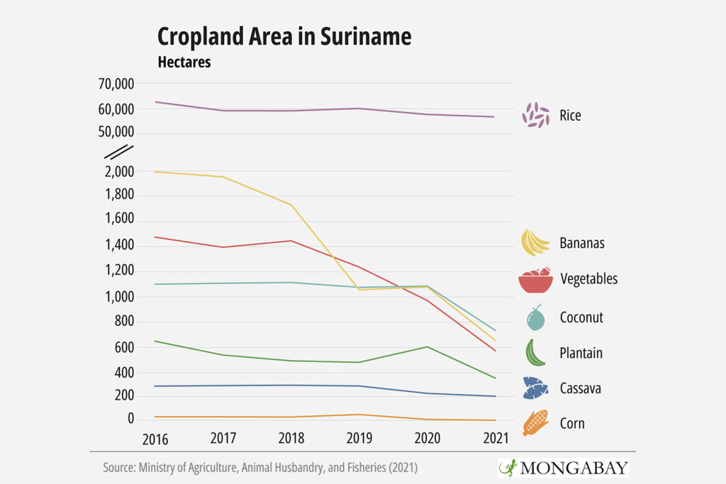 Cropland area in Suriname (Mongabay)