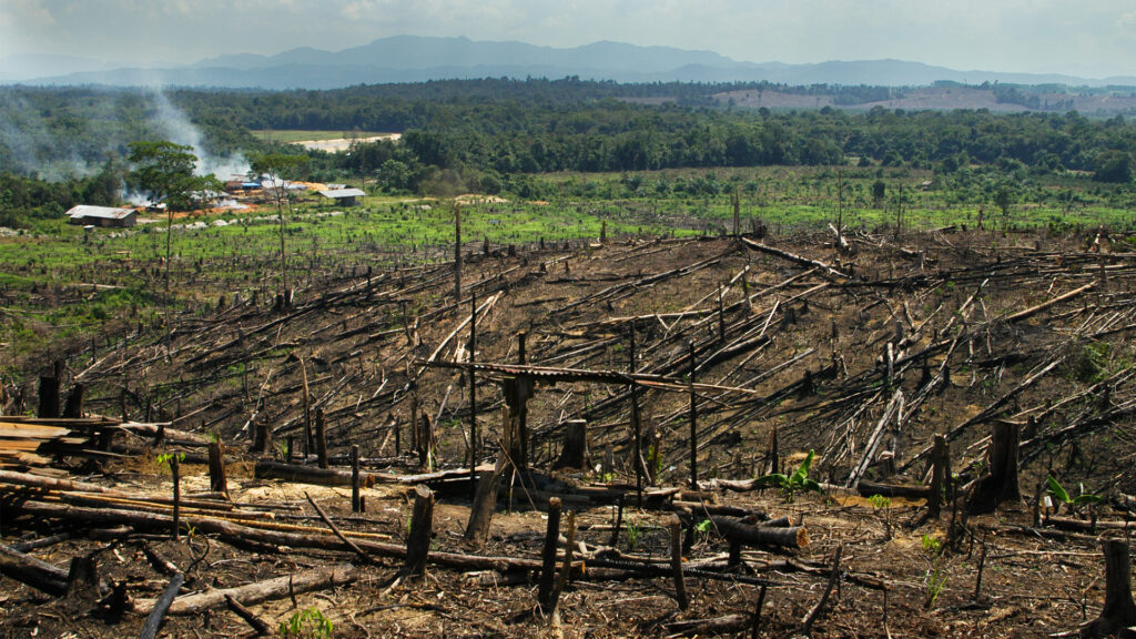 Deforestation from palm oil in Sumatra, Indonesia. (GRID-Arendal via Flickr, CC BY-NC-SA 2.0