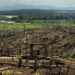 Deforestation from palm oil in Sumatra, Indonesia. (GRID-Arendal via Flickr, CC BY-NC-SA 2.0
