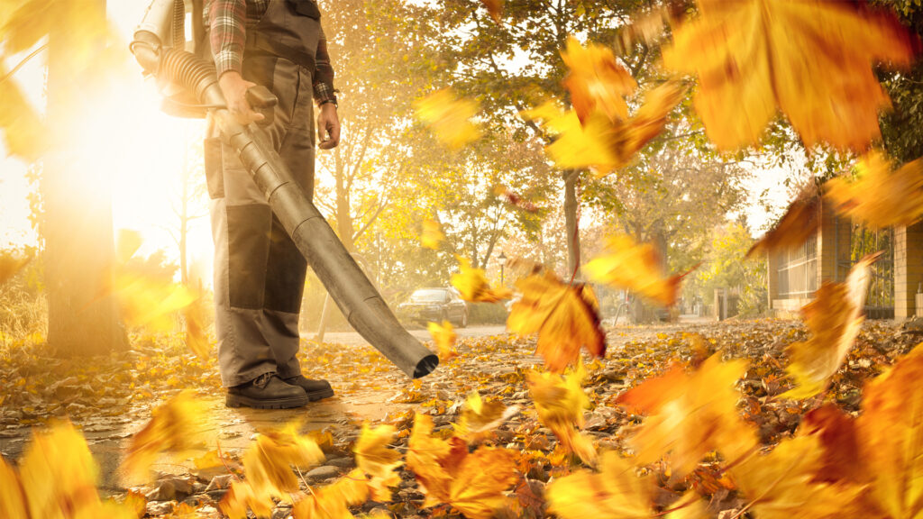 A leaf blower in action (iStock image)