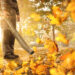 A leaf blower in action (iStock image)
