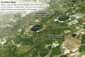 A view of the Carolina Bays from the sky. (Photo credit: Landsat imagery courtesy of NASA Goddard Space Flight Center and U.S. Geological Survey)