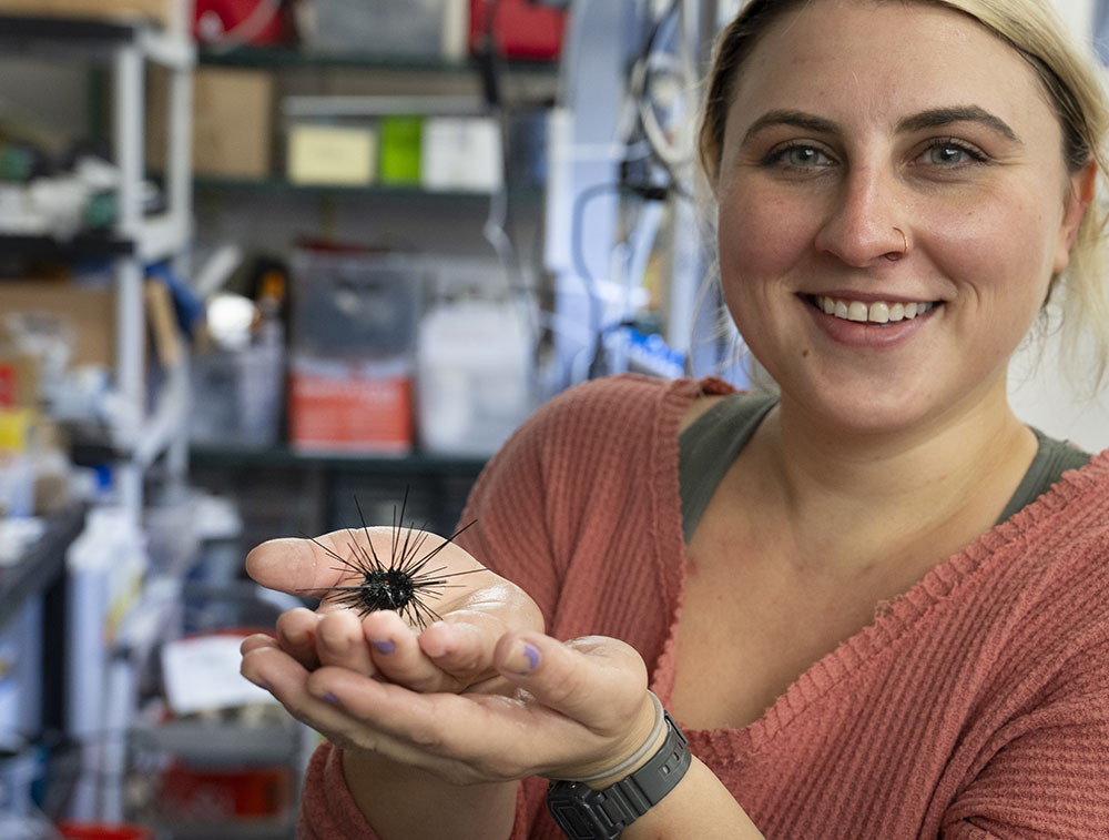 Lead author Isabella Ritchie was involved in a groundbreaking paper last year that identified the ciliate as the cause of the die-off of long-spined sea urchins in the Caribbean. (USF)