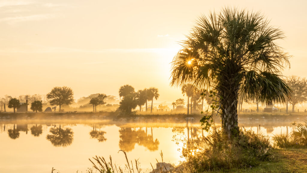 The sun shines through the fog in the Everglades (iStock image)