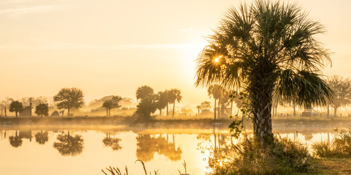 The sun shines through the fog in the Everglades (iStock image)