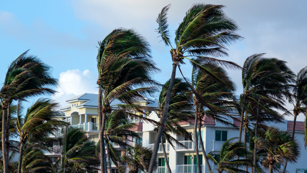 A windy day along the Florida coast (iStock image)