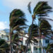A windy day along the Florida coast (iStock image)