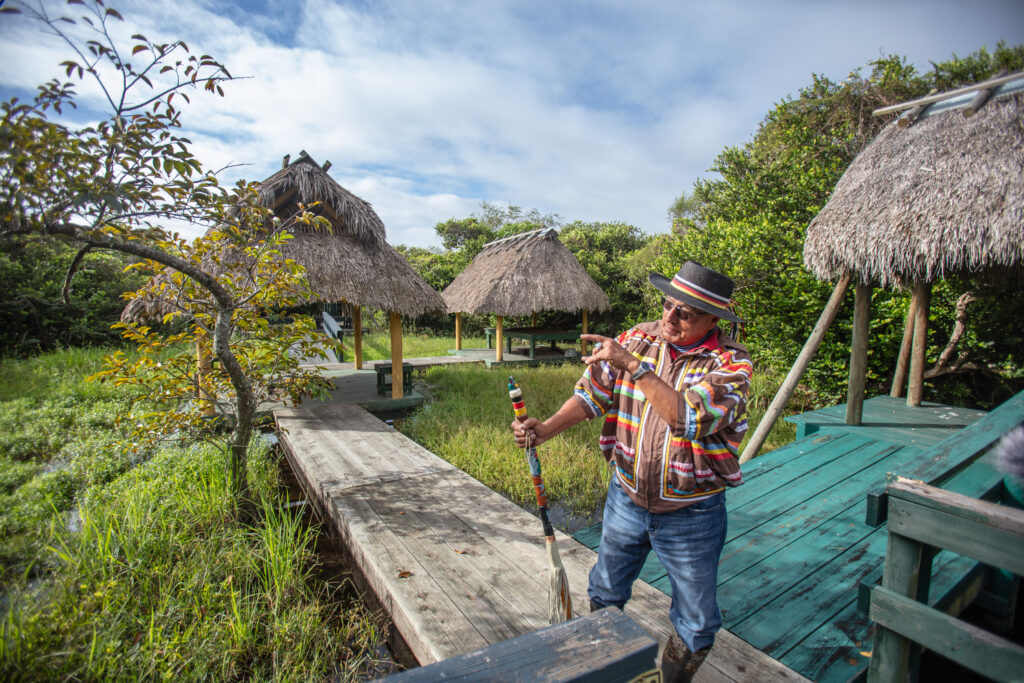 Miccosukee Elder Michael Frank visits his family’s tree island where he spent part of his youth. (Patrick Farrell for WLRN)